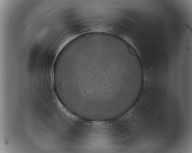 X0000100861032200807111248