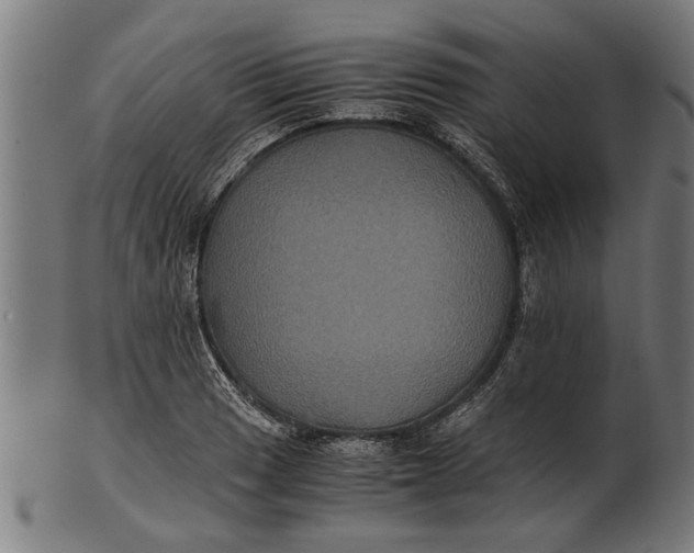 X0000100861033200807111248