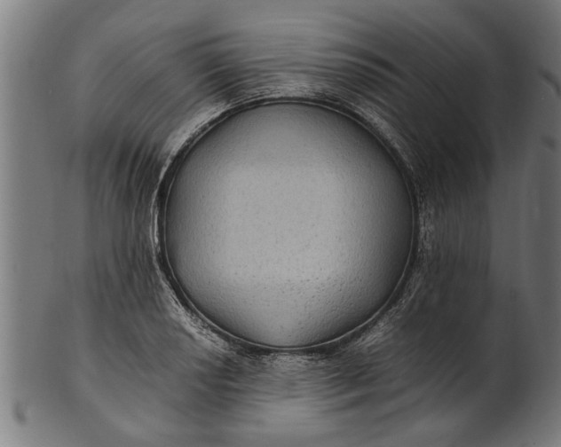 X0000100861034200807111248