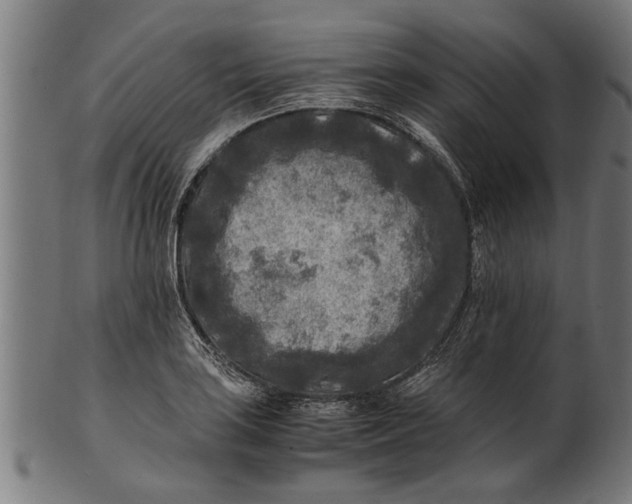 X0000100861035200807111248