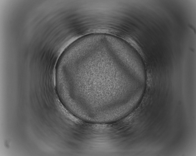 X0000100861036200807111248