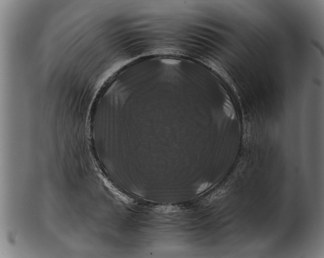 X0000100861037200807111248