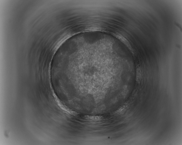 X0000100861039200807111248