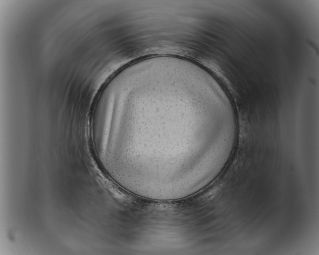 X0000100861040200807111248