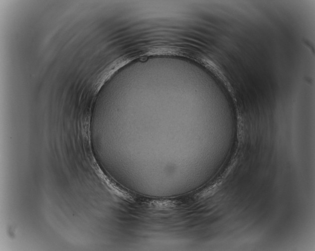 X0000100861041200807111248