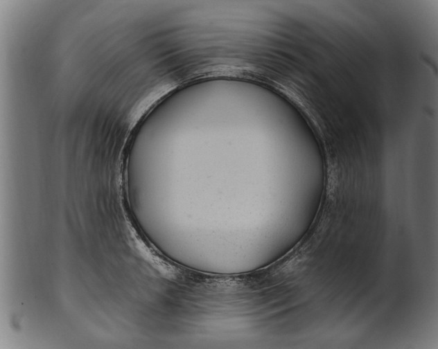 X0000100861042200807111248