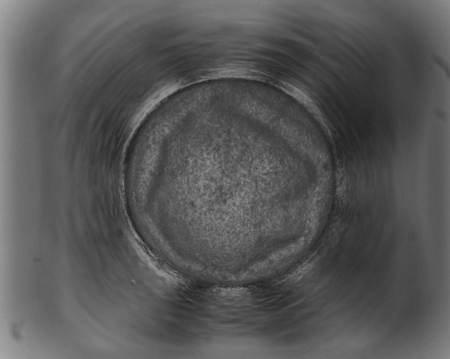 X0000100861043200807111248