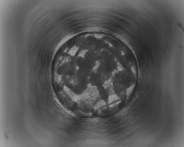 X0000100861045200807111248