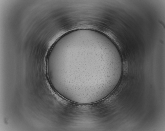 X0000100861046200807111248