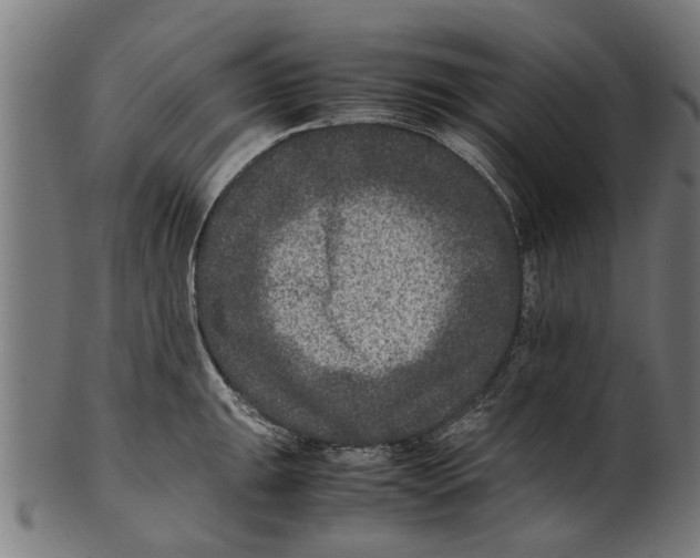 X0000100861047200807111248