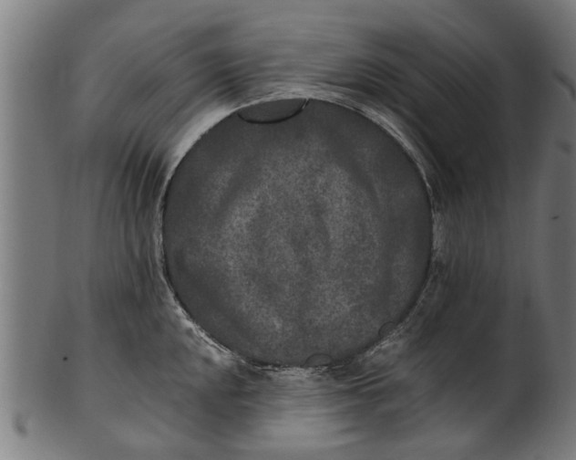 X0000100861048200807111248