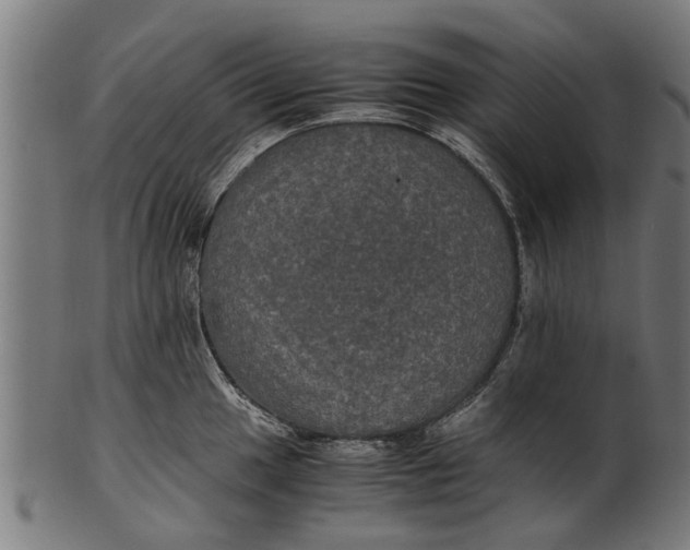 X0000100861049200807111248