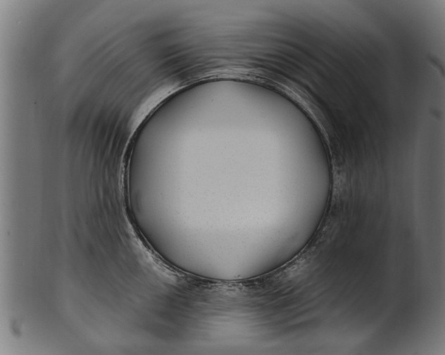 X0000100861050200807111248