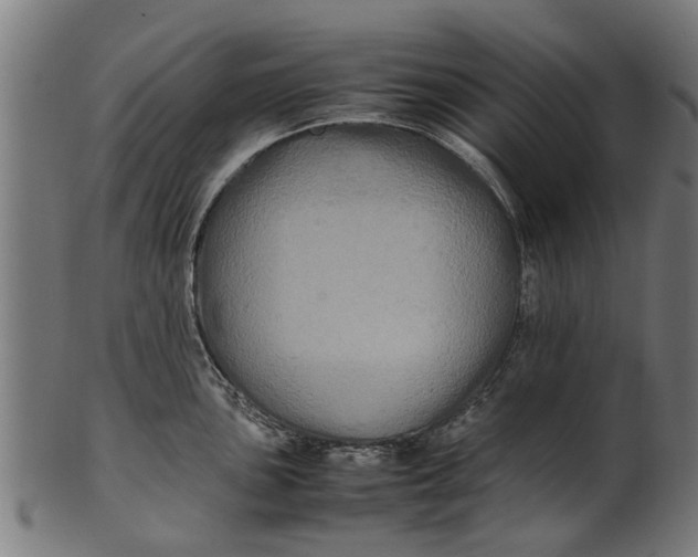 X0000100861051200807111248