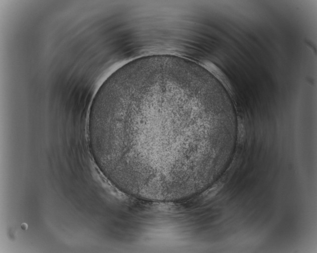 X0000100861052200807111248