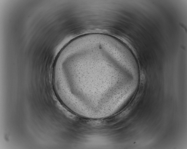 X0000100861054200807111248