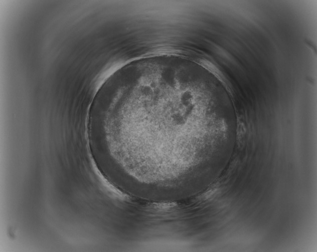 X0000100861055200807111248