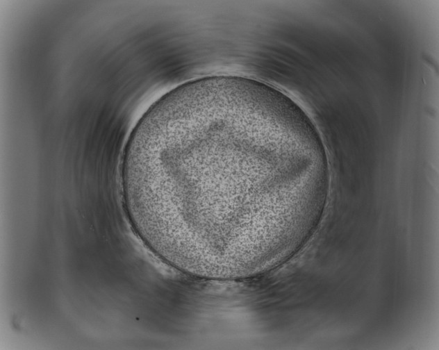 X0000100861056200807111248