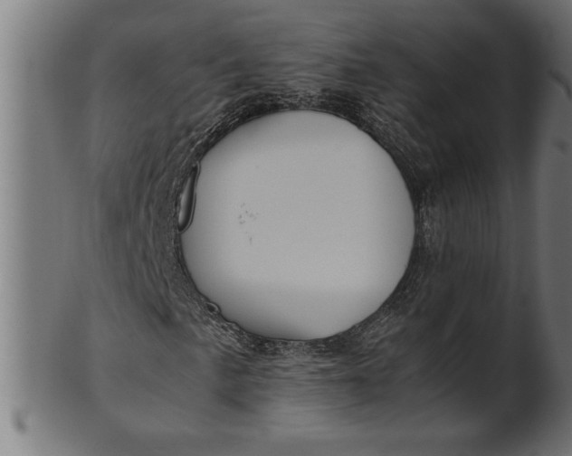 X0000100861057200807111247