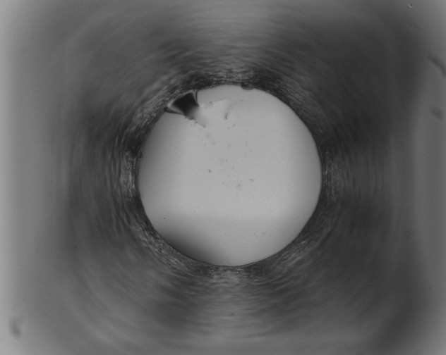 X0000100861058200807111247