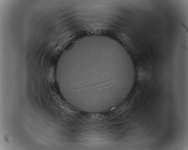 X0000100861060200807111247