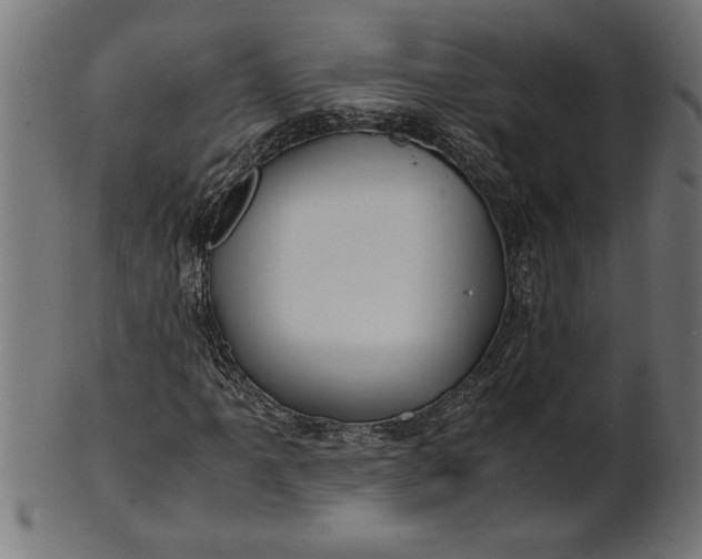 X0000100861061200807111247