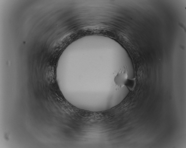 X0000100861062200807111247