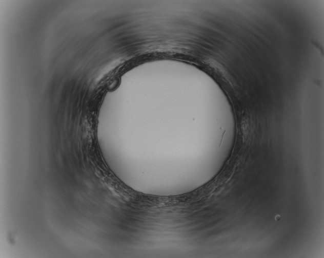 X0000100861064200807111247