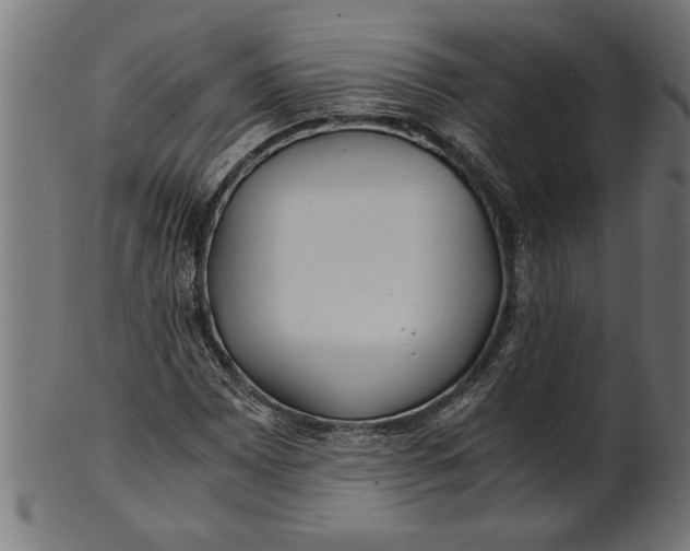 X0000100861065200807111247