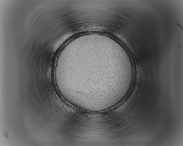 X0000100861066200807111247