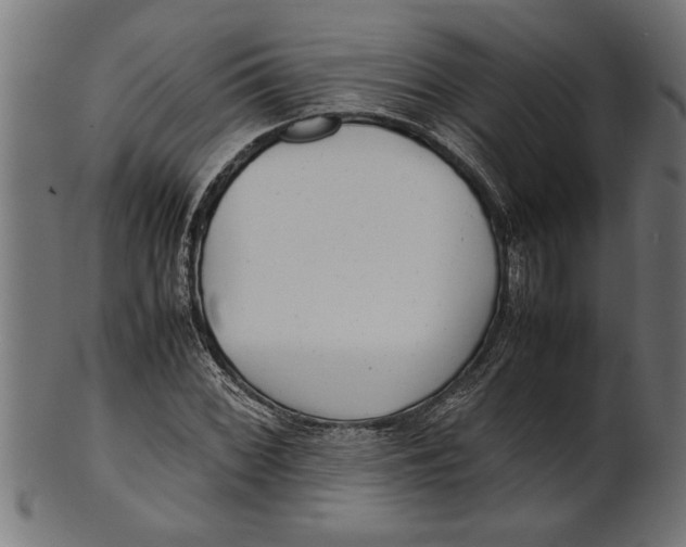 X0000100861068200807111247