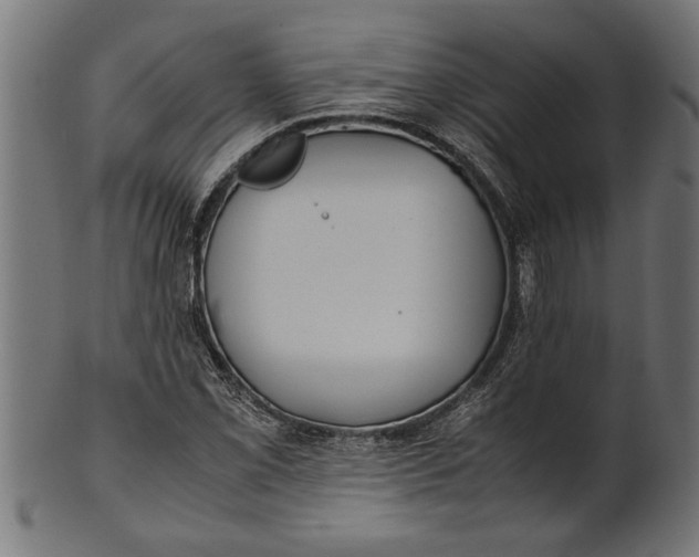 X0000100861069200807111247