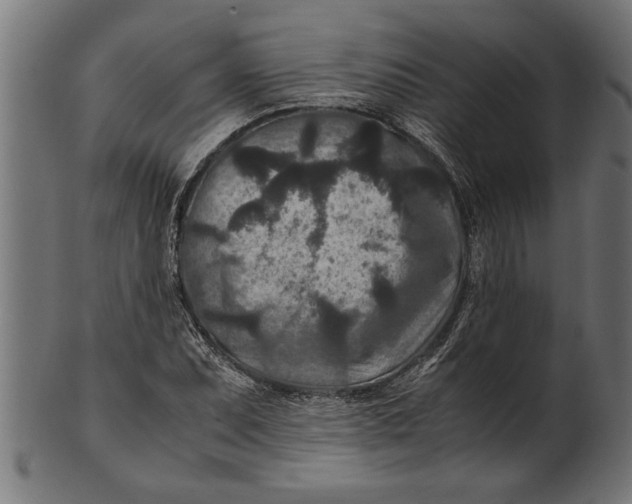 X0000100861071200807111247