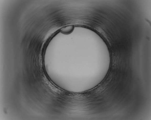 X0000100861072200807111247