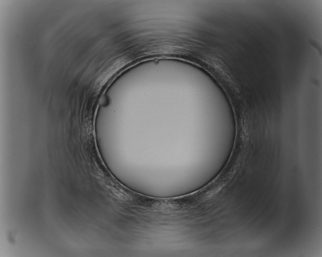 X0000100861073200807111247