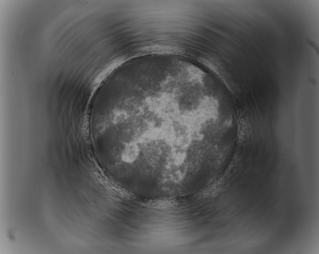 X0000100861074200807111247