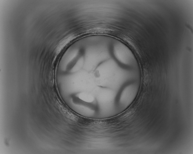 X0000100861075200807111247