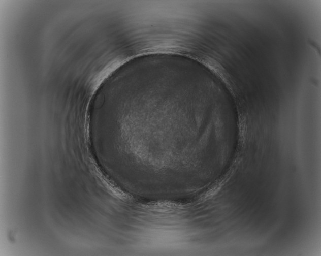 X0000100861077200807111247