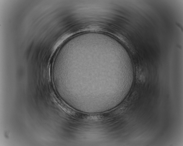 X0000100861078200807111247