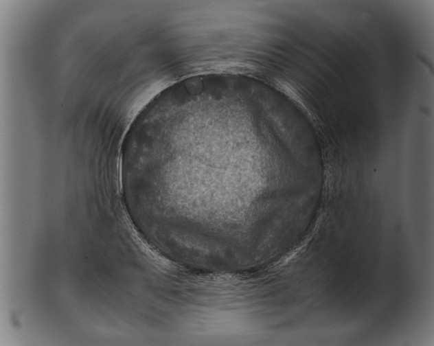 X0000100861079200807111247