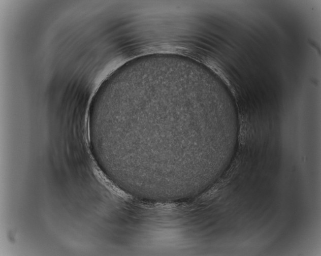 X0000100861080200807111247