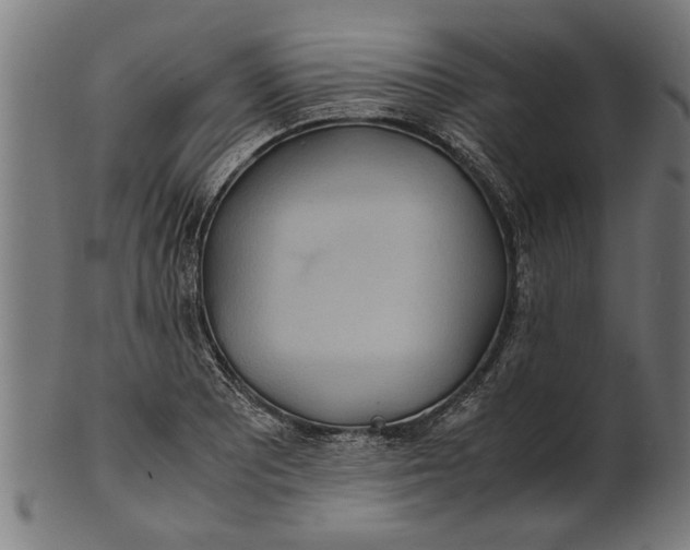 X0000100861081200807111247