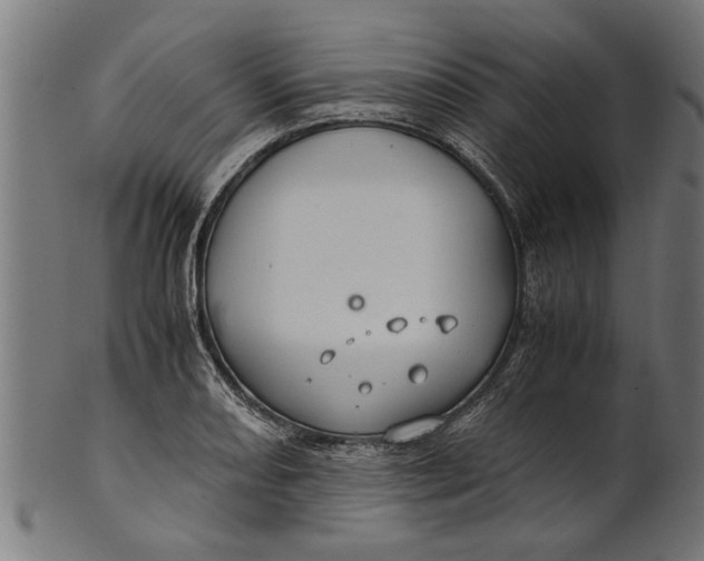 X0000100861082200807111247