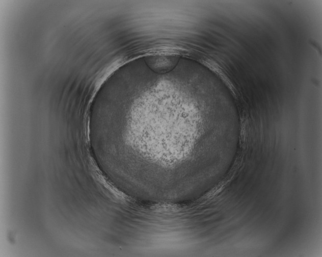 X0000100861083200807111247