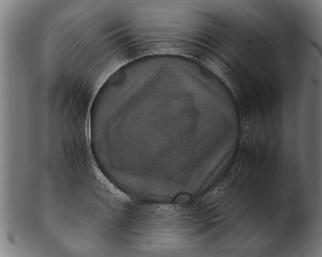 X0000100861084200807111247