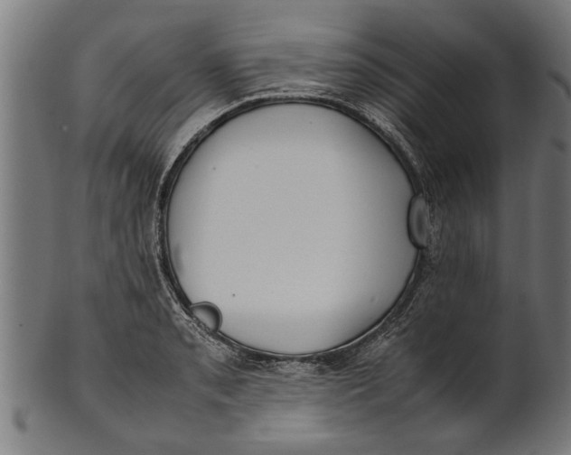 X0000100861085200807111247