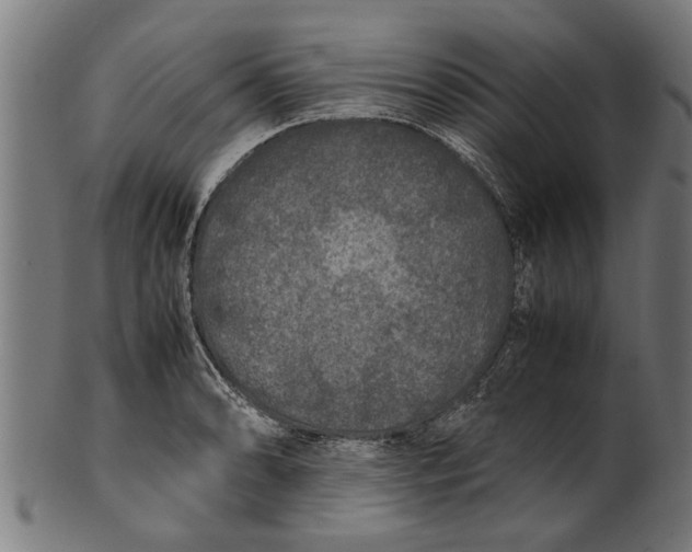 X0000100861086200807111247