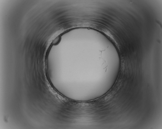 X0000100861088200807111247