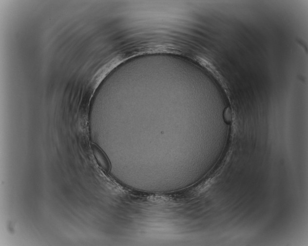 X0000100861089200807111247