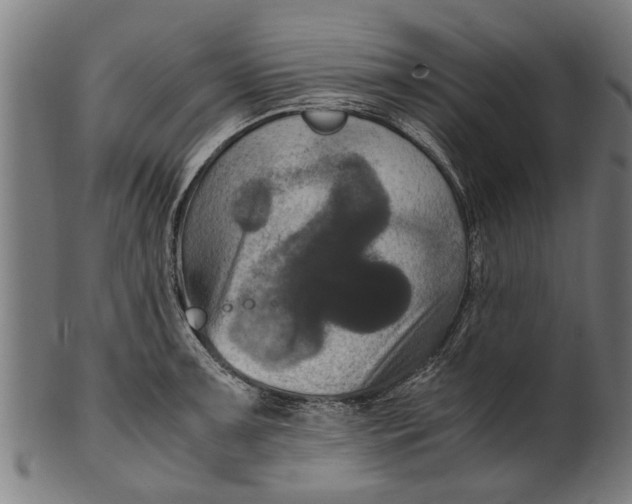 X0000100861091200807111247